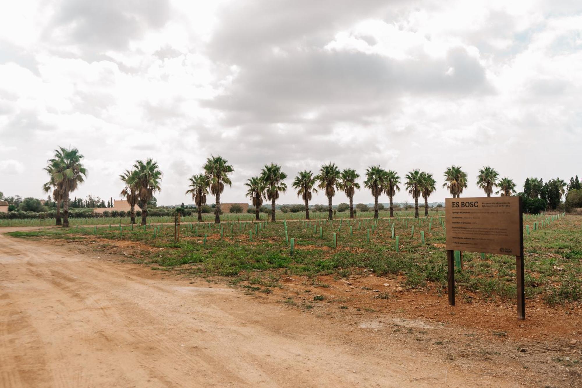 Vakantieboerderij Claudia By Nura Campos (Mallorca)